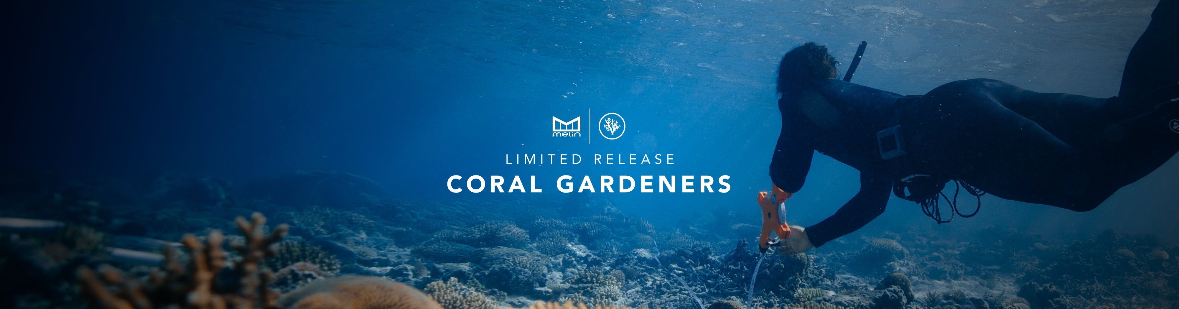 melin x Coral Gardeners
