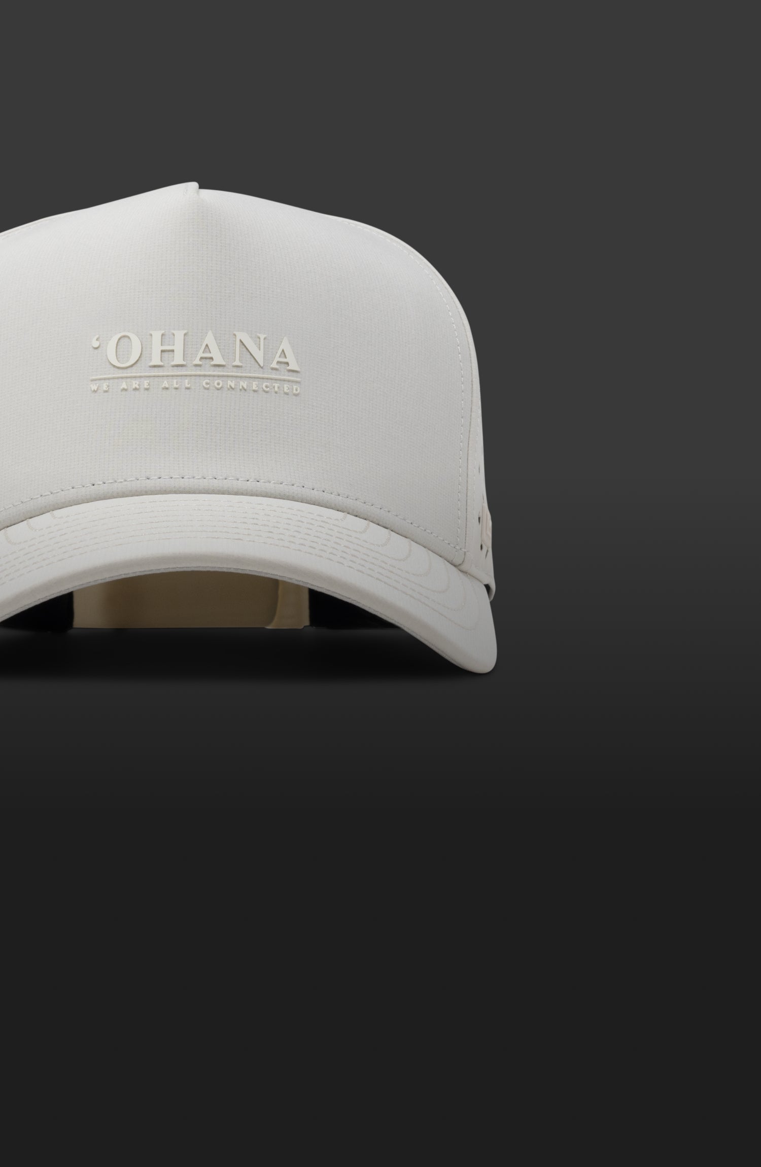 The feature grid item for the melin Odysea