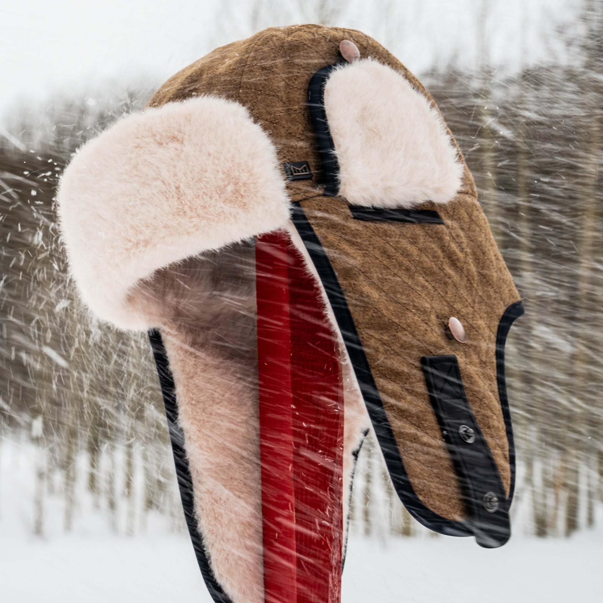 The gallery image for the melin Aviator Scout