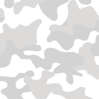 Snow Camo